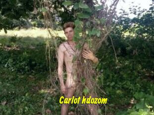 Carlot_hdozom