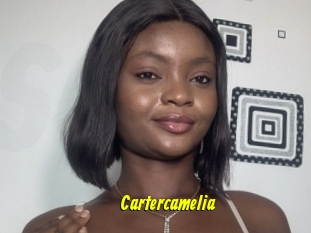 Cartercamelia