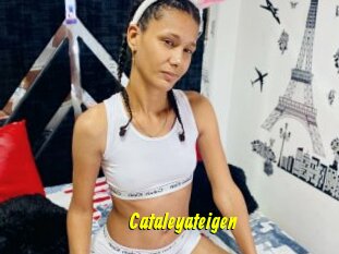 Cataleyateigen