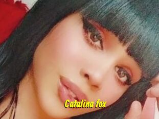 Catalina_fox