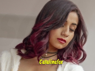 Catalinafox
