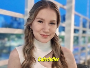 Cateclutter
