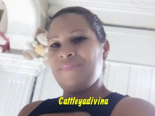 Cattleyadivina