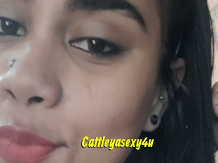 Cattleyasexy4u