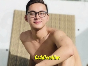Ceddiecollins