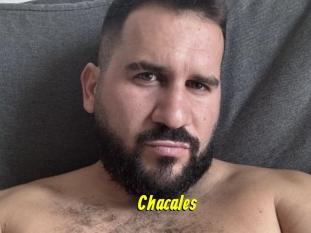 Chacales