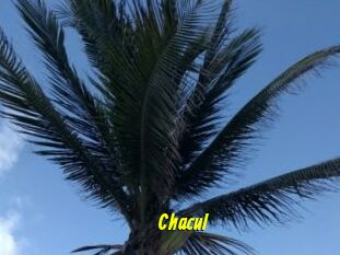 Chacul