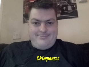 Chimpanzee