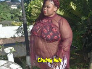 Chubby_bule