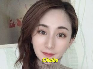 Cibaihu