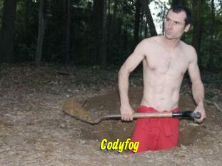 Codyfog