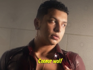 Coonor_wolf