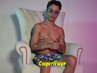 Cooperlewyn