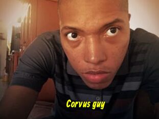 Corvus_guy