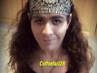 Cottontail28