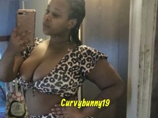 Curvybunny19