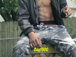 Day1DOG