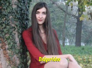 Didgeridoo