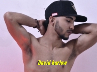 David_harlow