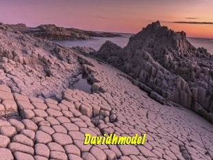 Davidhmodel