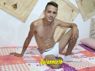 Dylan_north