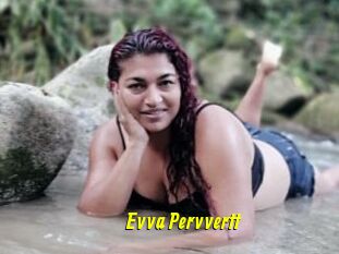 Evva_Pervvertt