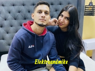 Elektraandmike