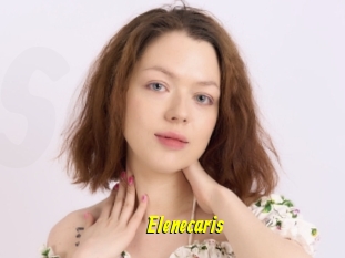 Elenecaris