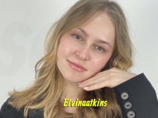 Elvinaatkins