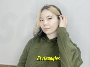 Elvinaaytes
