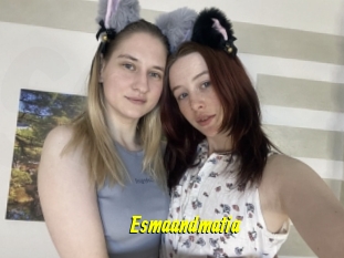 Esmaandmatia