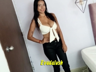 Evadalush