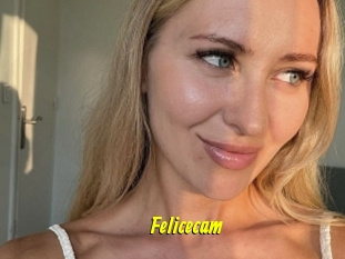 Felicecam