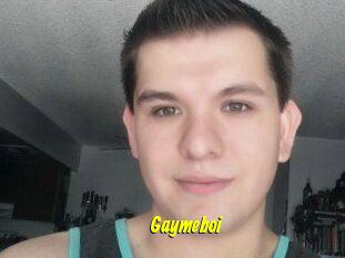 Gaymeboi
