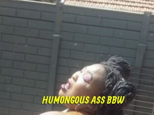 HUMONGOUS_ASS_BBW