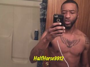 HalfHorse9912