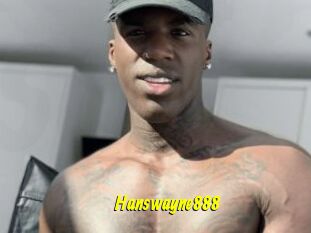 Hanswayne888