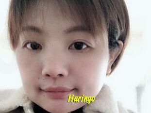 Haringo