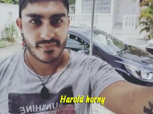 Harold_horny