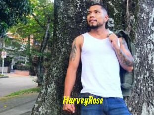HarveyRose