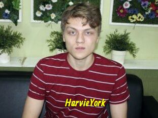HarvieYork
