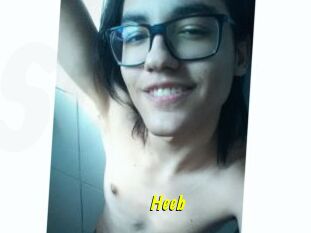 Heeb