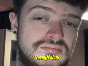 HornyMale96
