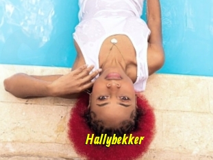 Hallybekker