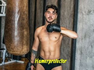 Hamerprotector