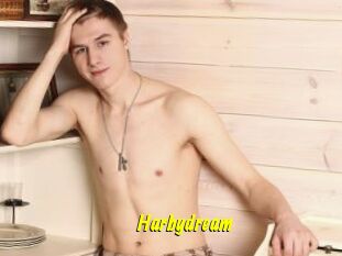 Harbydream