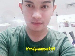 Hardyoungcock69