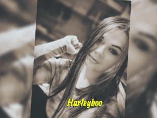 Harleyboo
