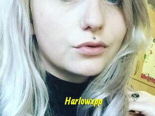 Harlowxpp