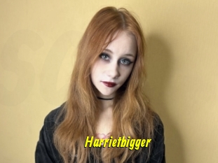 Harrietbigger